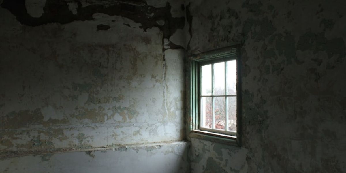 Polycarbonate window well covers